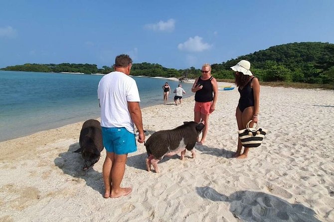 Pig Island Snorkeling & Sightseeing Tour By Speedboat From Koh Samui - Who will enjoy this Koh Samui day trip?