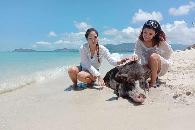 Pig Island Snorkeling & Sightseeing Tour By Speedboat From Koh Samui - Is $47.62 good value?