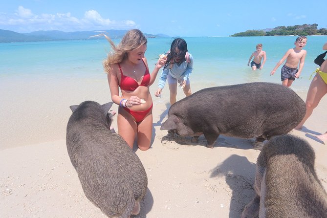Pig Island Snorkeling & Sightseeing Tour By Speedboat From Koh Samui - Koh Tan: two hours around the coral reef
