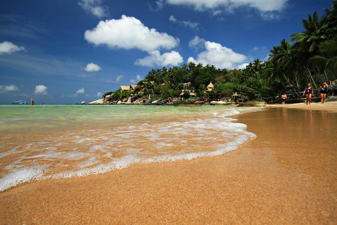 Pig Island Tour by Speedboat with Snorkeling - Key Points Before You Book