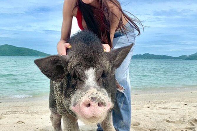 Pig Island Tour by Speedboat with Snorkeling - What This Koh Samui Tour Actually Offers