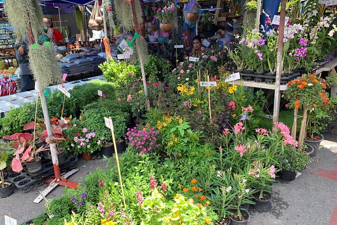 Private Exclusive Guided Chatuchak Weekend Market Shopping Tour - Bargaining help and checking your purchases