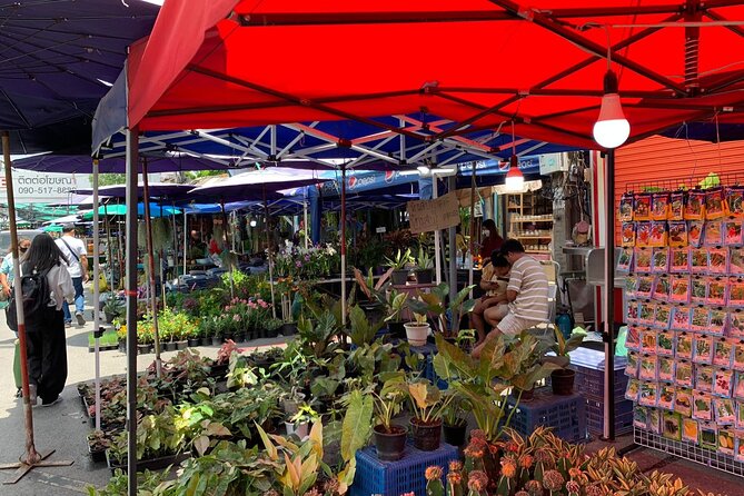 Private Exclusive Guided Chatuchak Weekend Market Shopping Tour - What the private format really gives you