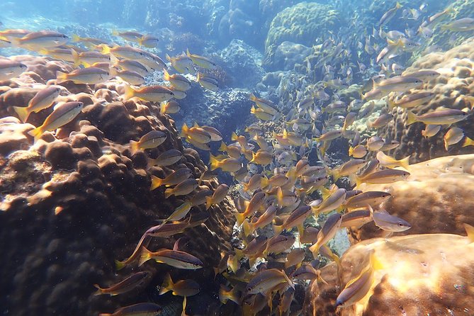 Private Full-Day Red Dragon Yacht to Angthong National Marine Park - Snorkeling at Ko Wao Yai