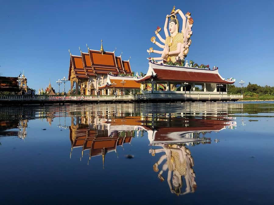 Private Group Half-Day City Tour Around Koh Samui - What the driver can and cannot provide