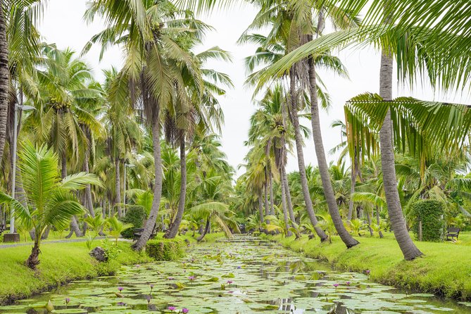 Private Tour: Floating Markets and Suan Sampran Day Trip from Bangkok - Shopping Without Losing Your Morning