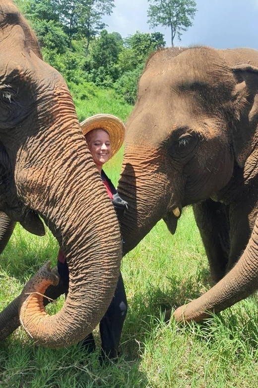 Rantong elephant sanctuary Chiangmai - Key points to know before you book