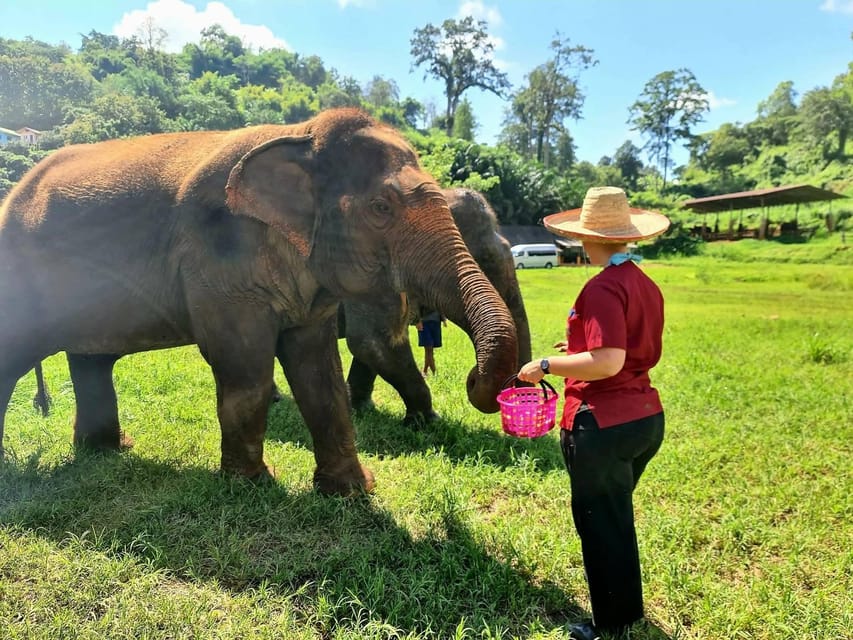 Rantong elephant sanctuary Chiangmai - Bathing time: fun, wet, and ethically important