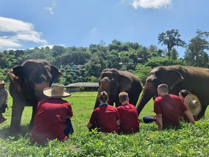 Rantong elephant sanctuary Chiangmai - The included meal depends on your departure