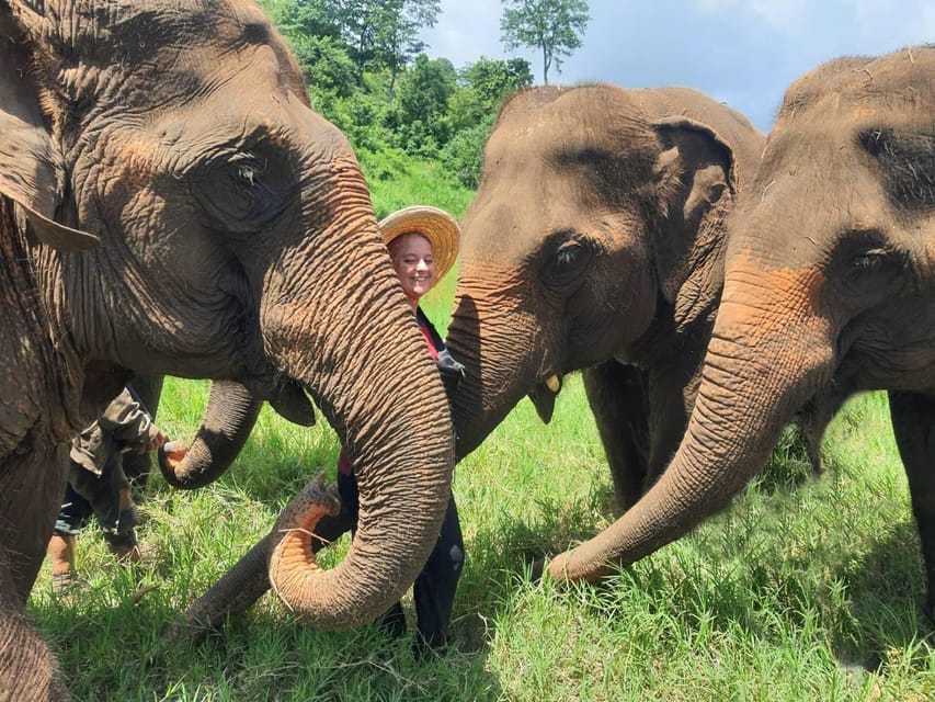 Rantong elephant sanctuary Chiangmai - What $57 really buys you