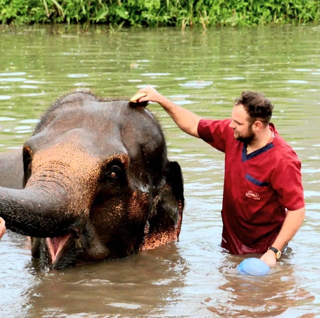 Rantong elephant sanctuary Chiangmai - The ride from Chiang Mai Old City