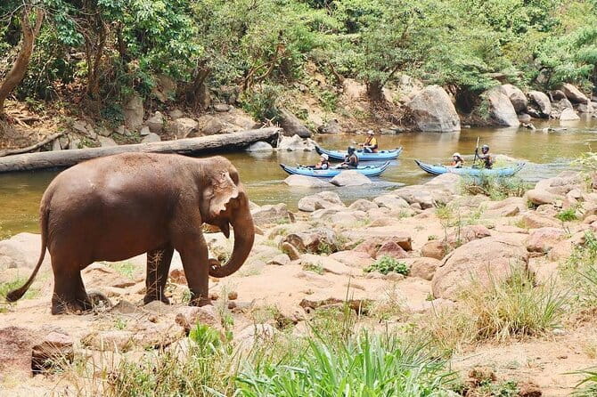 Safety whitewater rafting in Chiangmai by Khampan Rafting - Price and what you get for $55.07