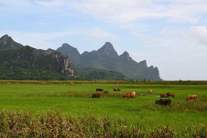 Sam Roi Yod National Park & Praya Nakhon Cave Private Tour from Hua Hin - Inside Phraya Nakhon Cave