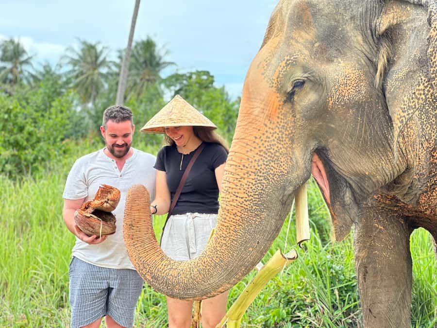 Samui:Elephant Jungle experience & The First Elephant Museum - Why the museum belongs in an elephant visit