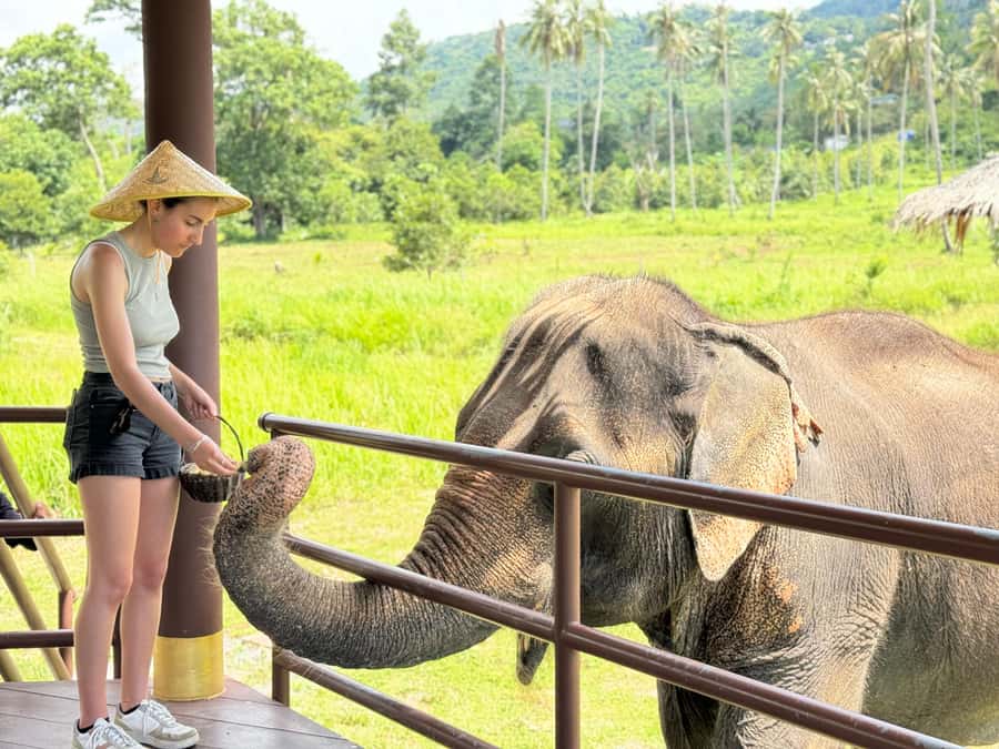 Samui:Elephant Jungle experience & The First Elephant Museum - Meeting elephants in the forest