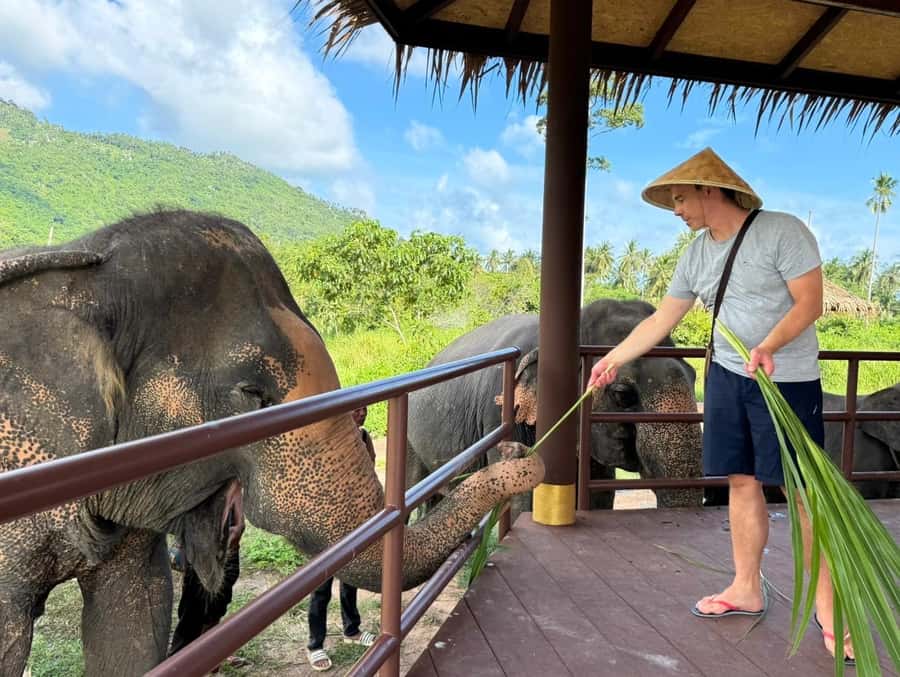 Samui:Elephant Jungle experience & The First Elephant Museum - Is $64 a fair price?