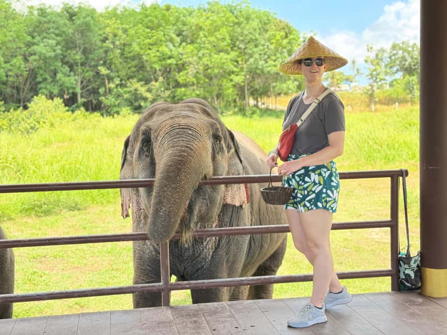 Samui:Elephant Jungle experience & The First Elephant Museum - Who will enjoy this experience most?