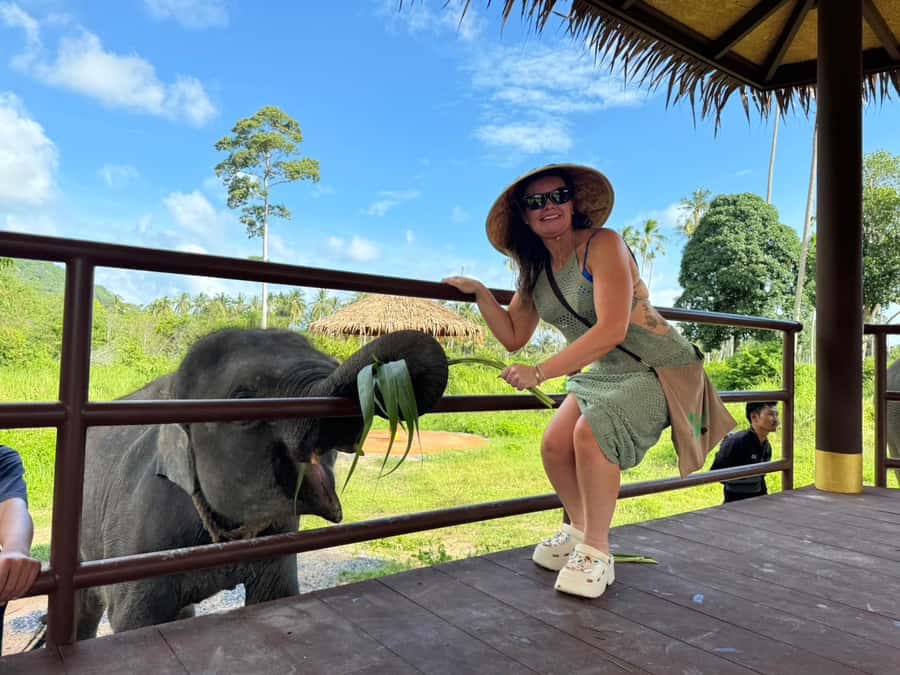 Samui:Elephant Jungle experience & The First Elephant Museum - Should you book Samui Elephant Home?