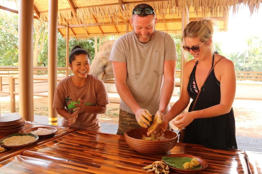 Samui: Elephant Nutrition and Care Education Experience - Why elephant nutrition matters at Samui Elephant Home