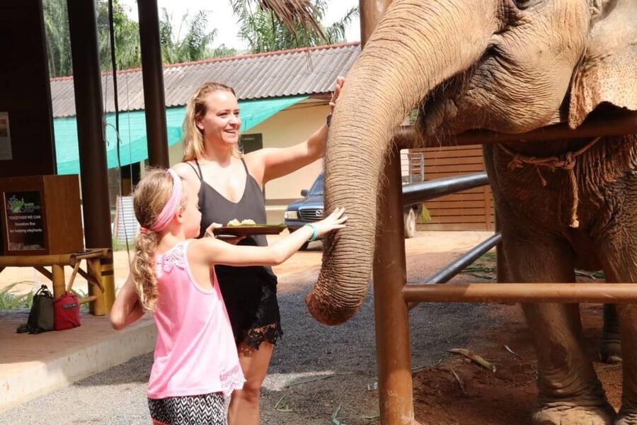 Samui: Elephant Nutrition and Care Education Experience - Who will enjoy this nursery visit most?