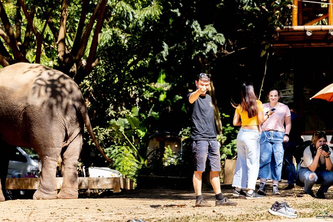 Scooter Adventure with elephants, views and FUN drive yourself - Starting with pickup and scooter preparation