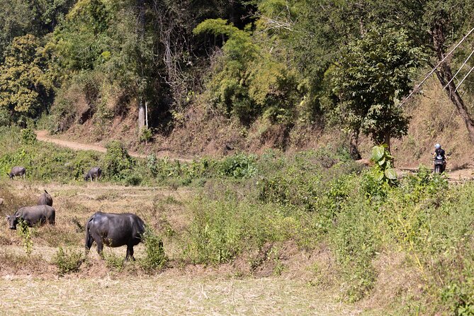 Scooter Adventure with elephants, views and FUN drive yourself - Viewpoints, caves, and a waterfall
