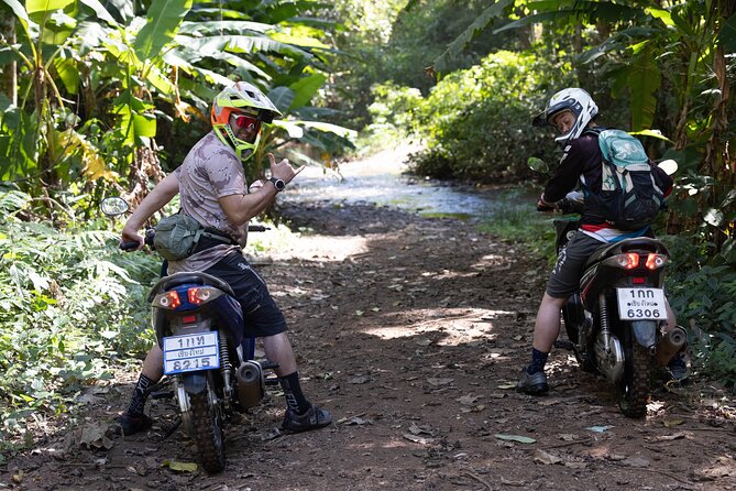 Scooter Adventure with elephants, views and FUN drive yourself - Lunch, water, and the real value of $126.55