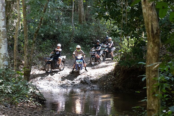 Scooter Adventure with elephants, views and FUN drive yourself - From paved roads to forest tracks