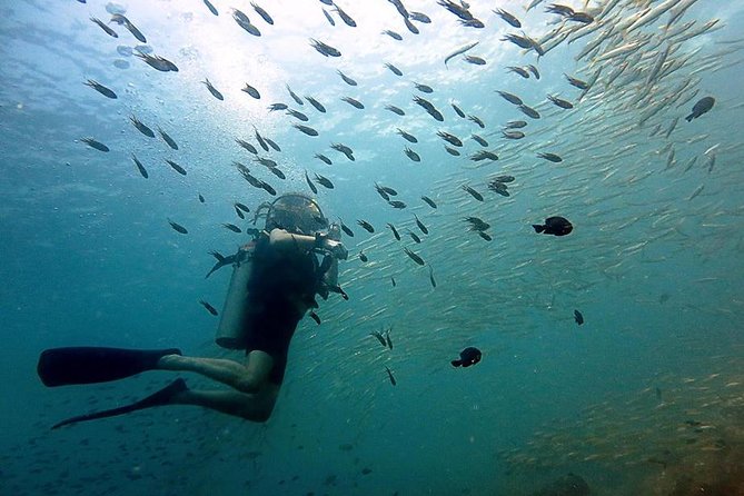 Scuba Diving Day Trip at Koh Chang – 2 Dives - Key points at a glance