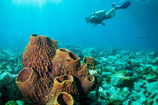Scuba Diving Day Trip at Koh Chang – 2 Dives - Choosing between the HTMS Chang wreck and Koh Rang