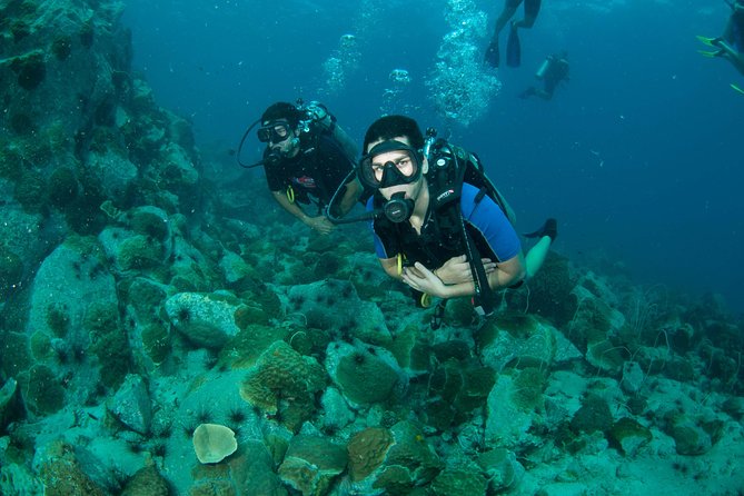 Scuba Diving Day Trip at Koh Chang – 2 Dives - Equipment, safety, and the role of the guide