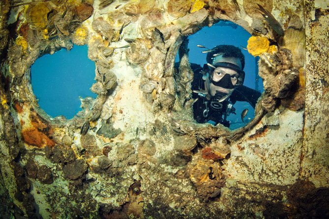 Scuba Diving Day Trip at Koh Chang – 2 Dives - The first underwater session: wreck structure or coral gardens