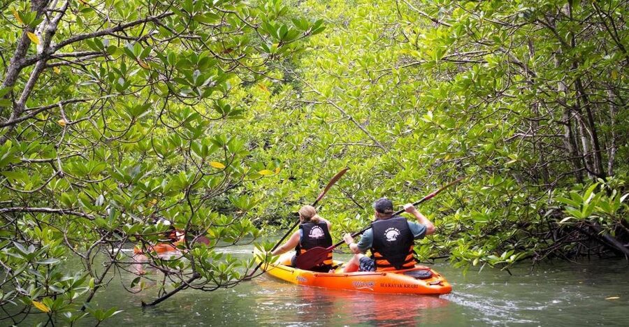 Sea Kayaking in Ao Thalane & Optional Full-Day Hong Island - Small details that make the day better