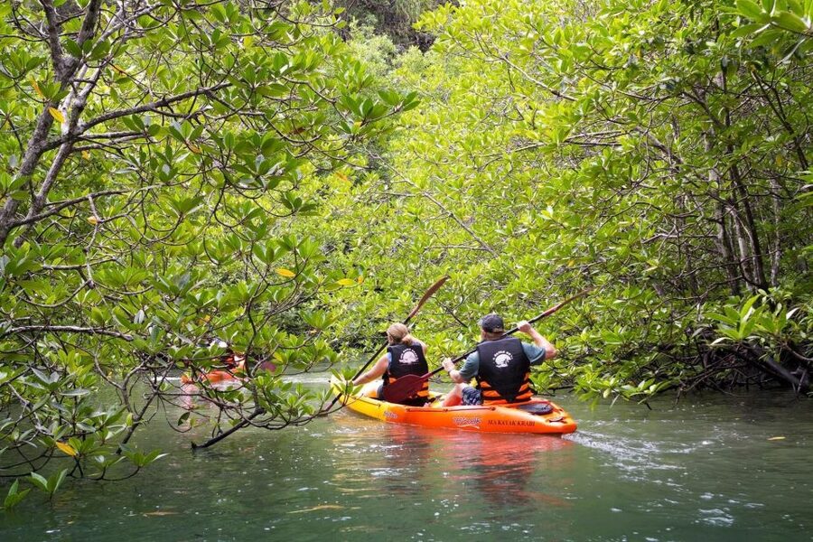 Sea Kayaking in Ao Thalane & Optional Full-Day Hong Island - Why Ao Thalane is different from a typical Krabi boat trip
