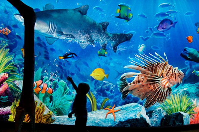 Sea Life Bangkok Ocean World Tickets - Key points at a glance