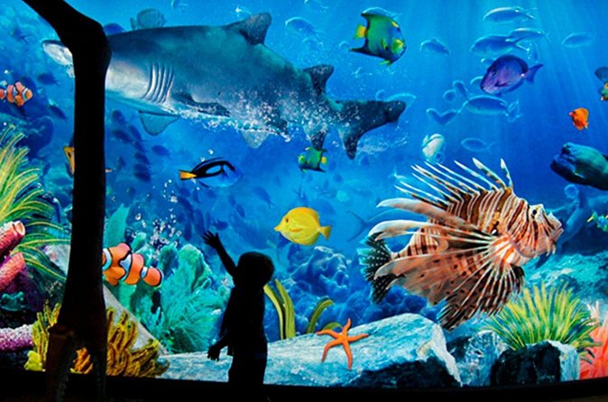 Sea Life Bangkok Ocean World Tickets - Madame Tussauds turns this into a Siam afternoon