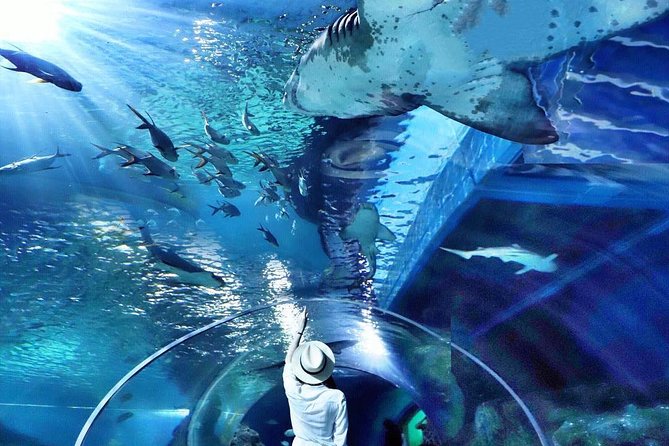 Sea Life Bangkok Ocean World Tickets - The Siam Paragon location and getting there