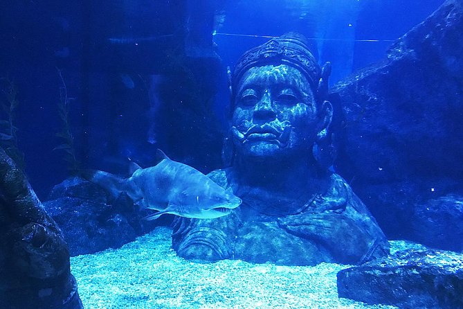 Sea Life Bangkok Ocean World Tickets - How the $44 price measures up