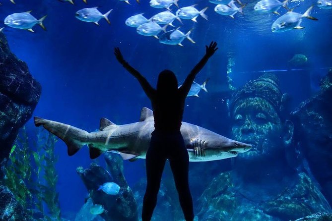 Sea Life Bangkok Ocean World Tickets - How long to stay and when to go