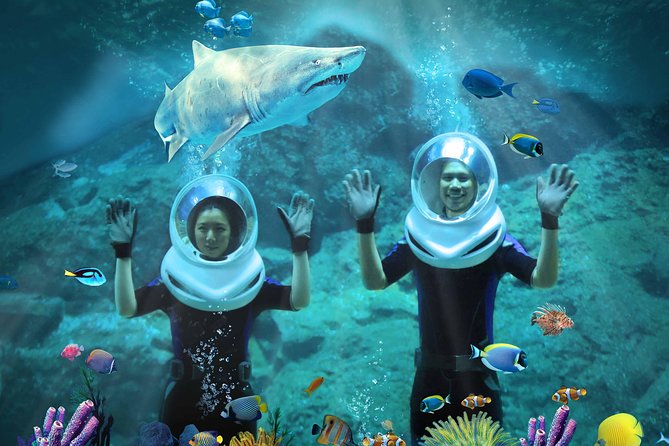 SEA LIFE & Madame Tussauds: Ultimate Bangkok Combo Ticket - Ticket redemption and the one practical snag