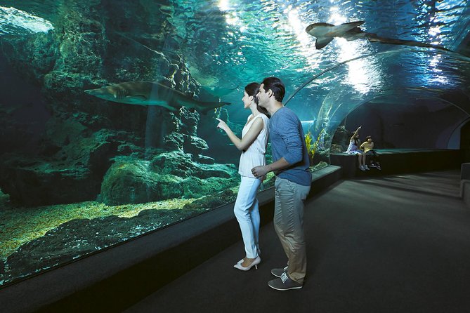SEA LIFE & Madame Tussauds: Ultimate Bangkok Combo Ticket - Who should book this combo?