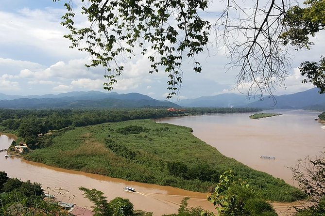 Sightseeing Join Tour Chiang Rai / PICK UP ONLY IN CHIANG RAI - Choui Fong Tea and the northern hills