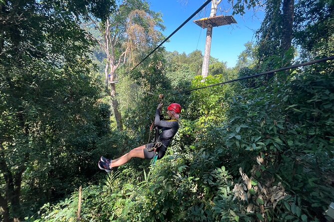 Sky Hawk Zipline Experience in Chiang Mai - Forest views from nearly 2,000 meters