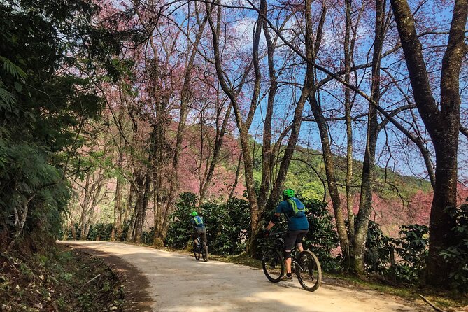 Smoke on the Water Trail Mountain Biking Tour Chiang Mai - Is $114.03 a fair price?