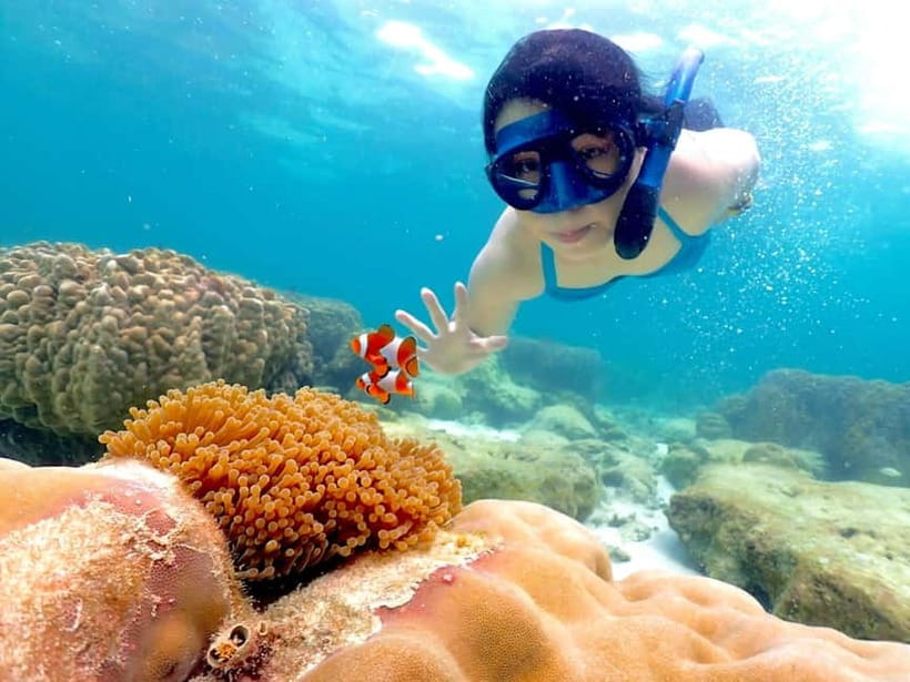 Snorkel & Chill: Nemo Island Trip from Pattaya - Quick facts about the Nemo Island trip
