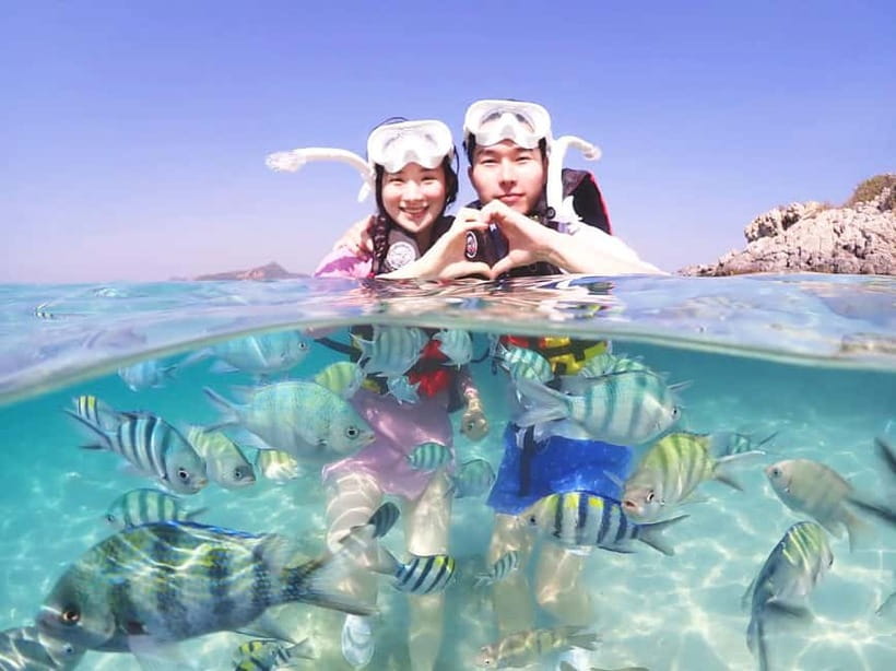 Snorkel & Chill: Nemo Island Trip from Pattaya - The free underwater photography is a serious perk