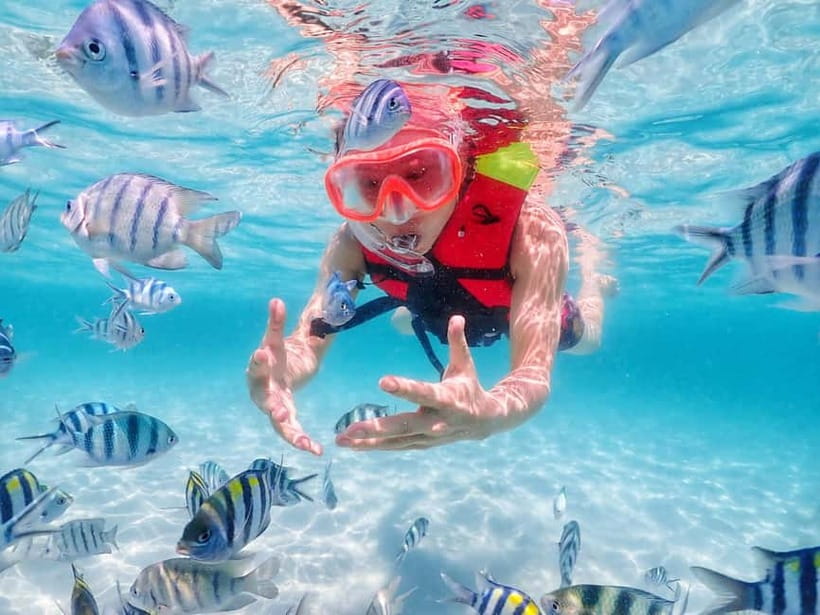 Snorkel & Chill: Nemo Island Trip from Pattaya - Small details that improve the day