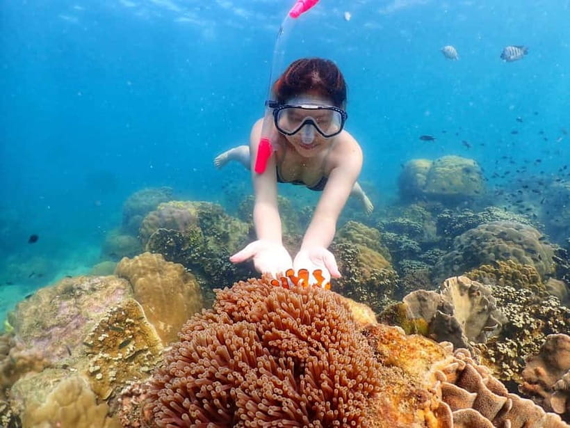 Snorkel & Chill: Nemo Island Trip from Pattaya - Should you book the Nemo Island trip?