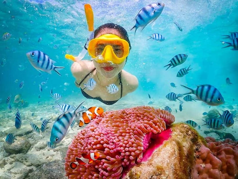 Snorkel & Chill: Nemo Island Trip from Pattaya - Koh Chuang and Koh Jan: snorkeling without a beach stop