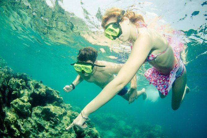 Snorkeling Adventure at Koh Chang – Departing from Koh Chang - Starting at BB Divers in Bang Bao